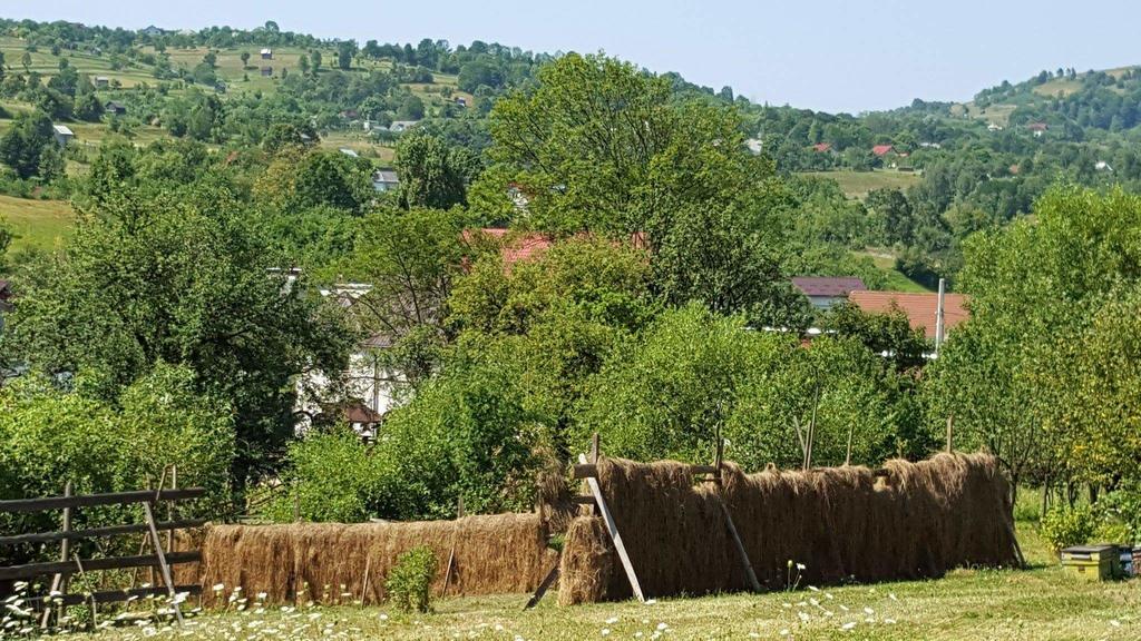 Pensiunea Simi Majszin Kültér fotó